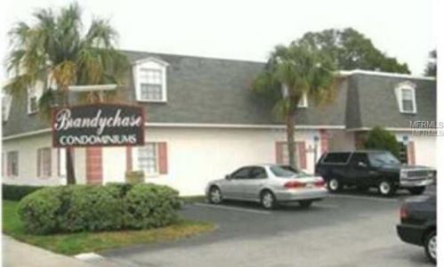 4335 Aegean Dr, Tampa FL  33611-2425 exterior