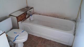 5243 Hamilton Ave, Saint Louis MO  63136-3406 exterior