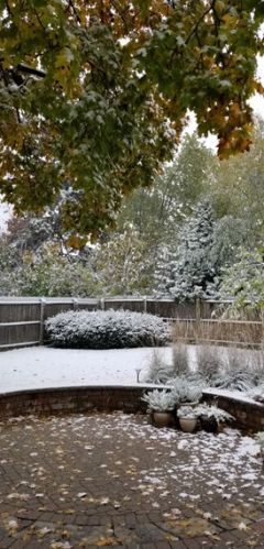 2421 Corona Rd, Waukegan IL 60087-4042 exterior