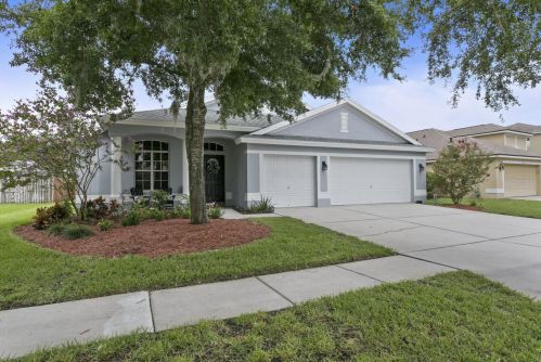 10125 Downey Ln, Tampa, FL 33626-1826