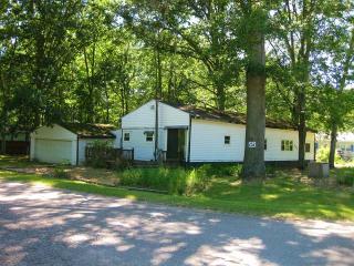 252 Mink Dr, Roscommon, MI 48653-8781