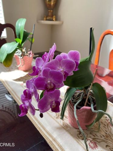 1331 Martin Luther King Jr Dr, Oxnard CA  93030-2575 exterior