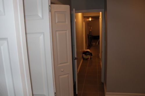 7326 Champlain Ave, Chicago IL 60619-1829 exterior