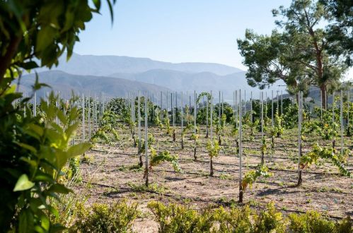 38330 De Portola Rd, Temecula CA 92592-8833 exterior