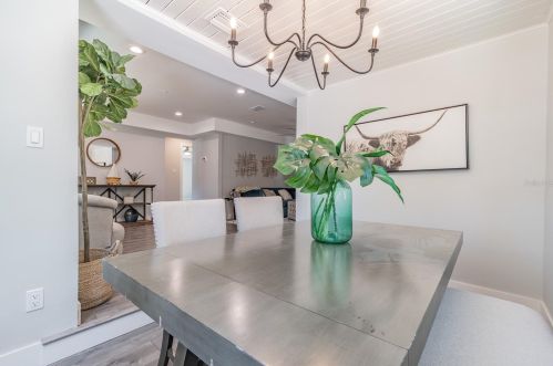 3609 Bay Ave, Tampa FL  33611-4220 exterior