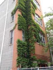 2555 Southport Ave, Chicago IL  60614-2124 exterior