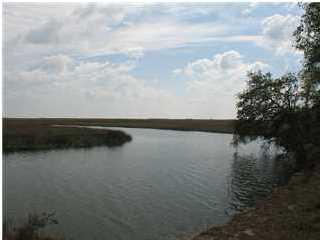 615 Parrot Pt Dr, Charleston SC  29412-8985 exterior