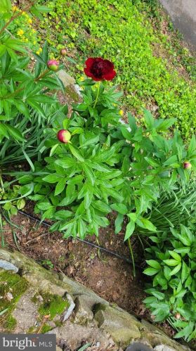 94 Eldrid Dr, Silver Spring MD 20904-2910 exterior