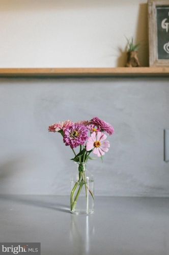 460 New Dorwart St, Lancaster PA 17603-5220 exterior