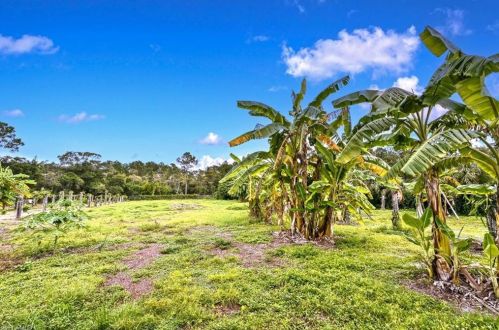 3391 7 Ave, Naples FL 34119-1523 exterior