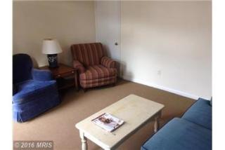 331 Patrick St, Alexandria VA  22314-2442 exterior