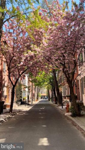 1714 Addison St, Philadelphia PA 19143-1203 exterior