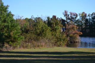 500 Mallard Dr, Sumter SC  29150-3190 exterior