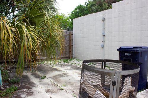 2311 North B St, Tampa FL 33609-2337 exterior