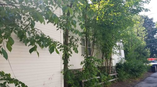 28 Thompson St, Concord NH 03301-2406 exterior