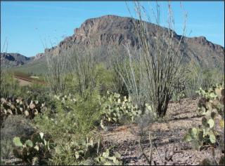 5131 Camino De Oeste, Tucson AZ  85746-9473 exterior