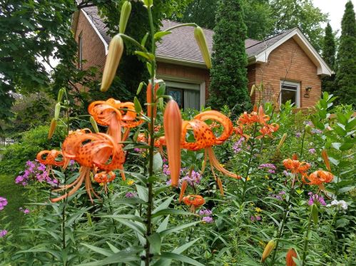 1030 Clay St, Bull Valley, IL 60098-2808