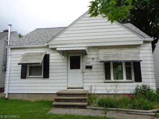 13822 Clifford Ave, Cleveland, OH 44135-1558