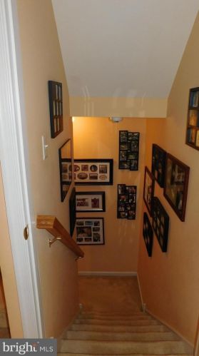 100 Celestino Ct, Blenheim NJ 08012-4435 exterior