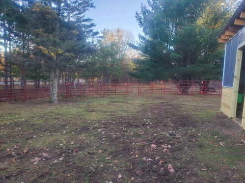 14735 190th Ave, Big Rapids MI  49307-9041 exterior