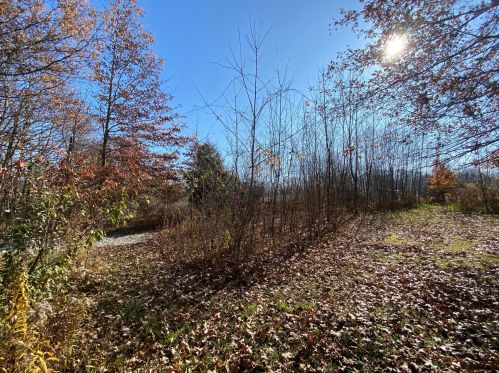 5091 Township Rd 179, Cardington OH 43315-9349 exterior