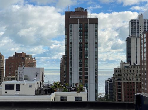 1340 Dearborn St, Chicago IL 60610-2071 exterior