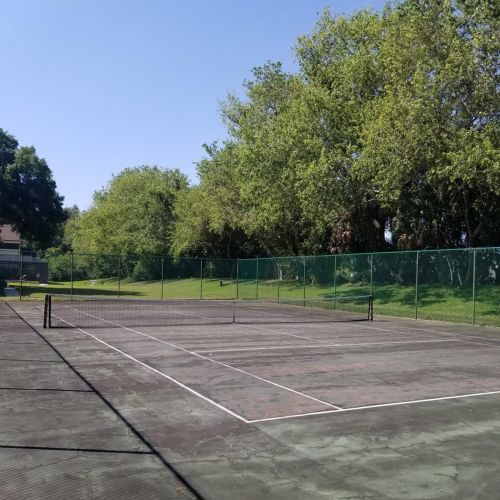 13612 Village Dr, Tampa FL 33618-8354 exterior