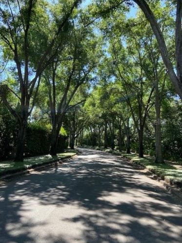 459 Hamptoncrest Cir, Lake Mary FL  32746-4310 exterior