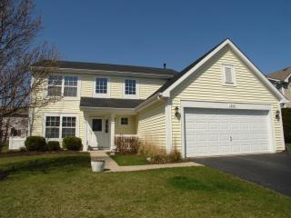 1336 Roxbury Dr, Aurora IL  60502-7027 exterior