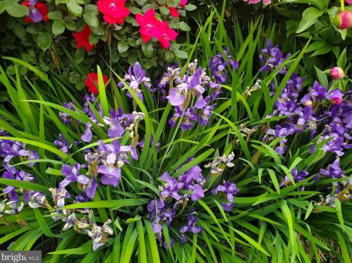 228 Elm Ave, Media PA 19063-5742 exterior