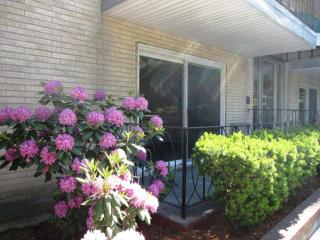 15 Francis St, Brookline MA  02446-6622 exterior