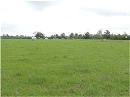 51 County Road 2224, Cleveland, TX 77327-9204
