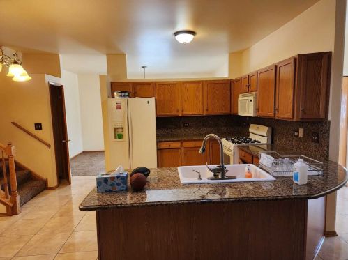 5230 Mint Julip Dr, Chicago IL  60803-5192 exterior