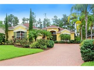 27137 Brush Creek Way, Zephyrhills, FL 33544-8726