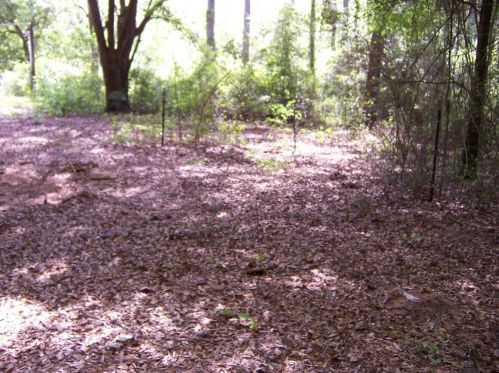 785 Adams Rd, Defuniak Springs FL 32433-5101 exterior