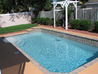 27323 New Smyrna Dr, Zephyrhills FL  33544-6605 exterior