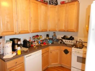 1406 Grace St, Chicago IL  60613-2802 exterior