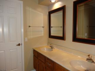 100 Aspen Dr, Basking Ridge NJ  07920-1977 exterior