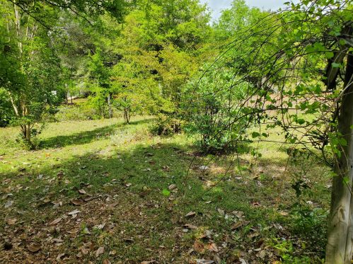 955 Bob Mccaskill Dr, Defuniak Springs FL 32433-5269 exterior