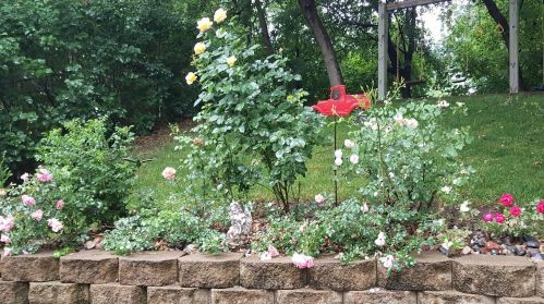 7561 Barbara Ave, South Saint Paul MN 55077-5821 exterior