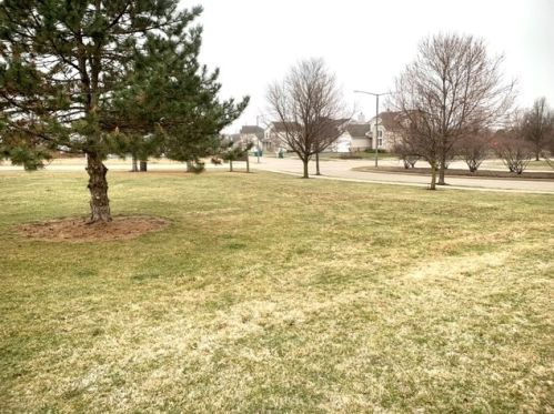 602 Silver Leaf Dr, Joliet IL 60431-8317 exterior