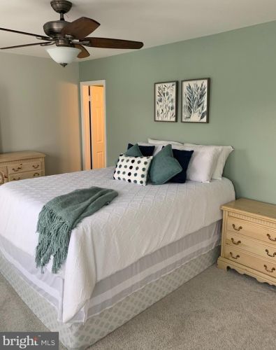 6579 Bermuda Grn Ct, Alexandria VA 22312-3106 exterior