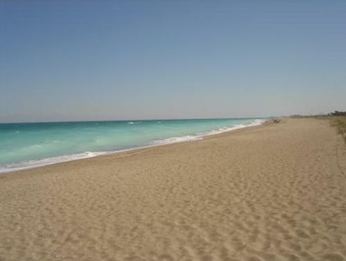 341 Springview Loop, Fort Pierce FL  34986-2664 exterior