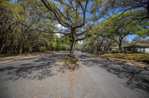 6313 Misty Ter, Tampa, FL 33617-1759