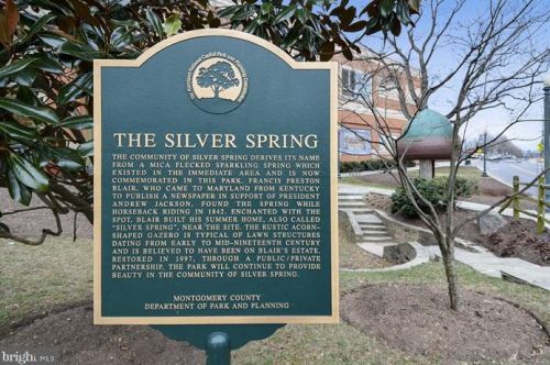 9820 Georgia Ave, Silver Spring MD  20902-5231 exterior