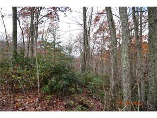 104 Carriage Dr, Fairview, NC 28730-7633