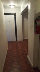 241 Montrose Ave, Brooklyn NY  11206-2822 exterior