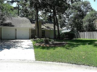9 Brook Pebble Ct, Spring TX  77380-2881 exterior