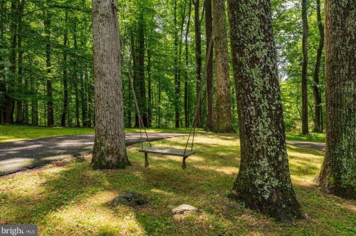 8000 Kingsgate Rd, Rockville, MD 20854-1732