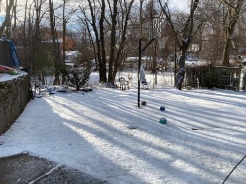 5 Amber St, Worcester MA 01602-2401 exterior